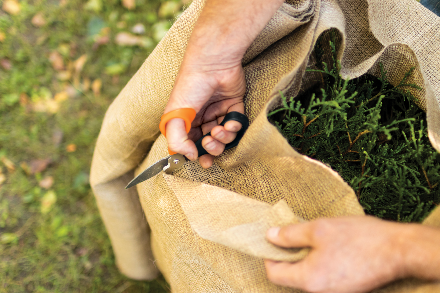 Monitoimisakset Cuts+More SP341 Fiskars