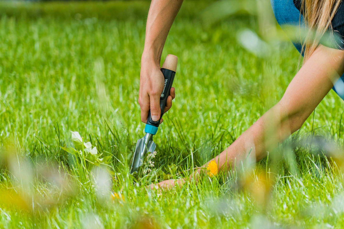 Voikukkarauta Gardena EcoLine