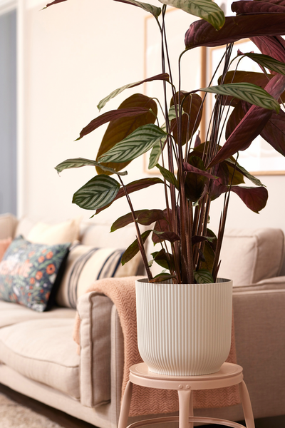 Ruukku Elho Vibes 30cm kerma