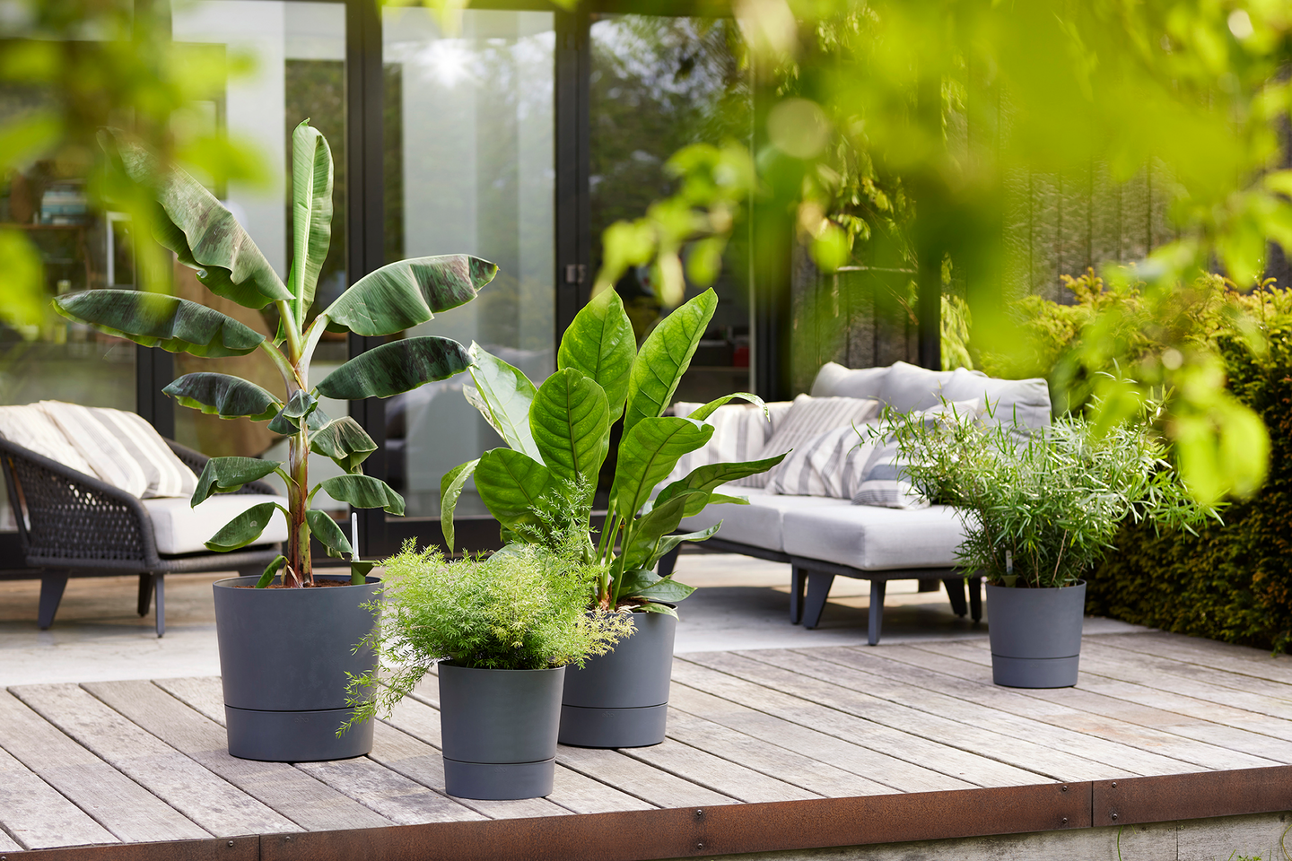 Altakasteluruukku Elho Greensense pyöreä 30cm hiilenharmaa