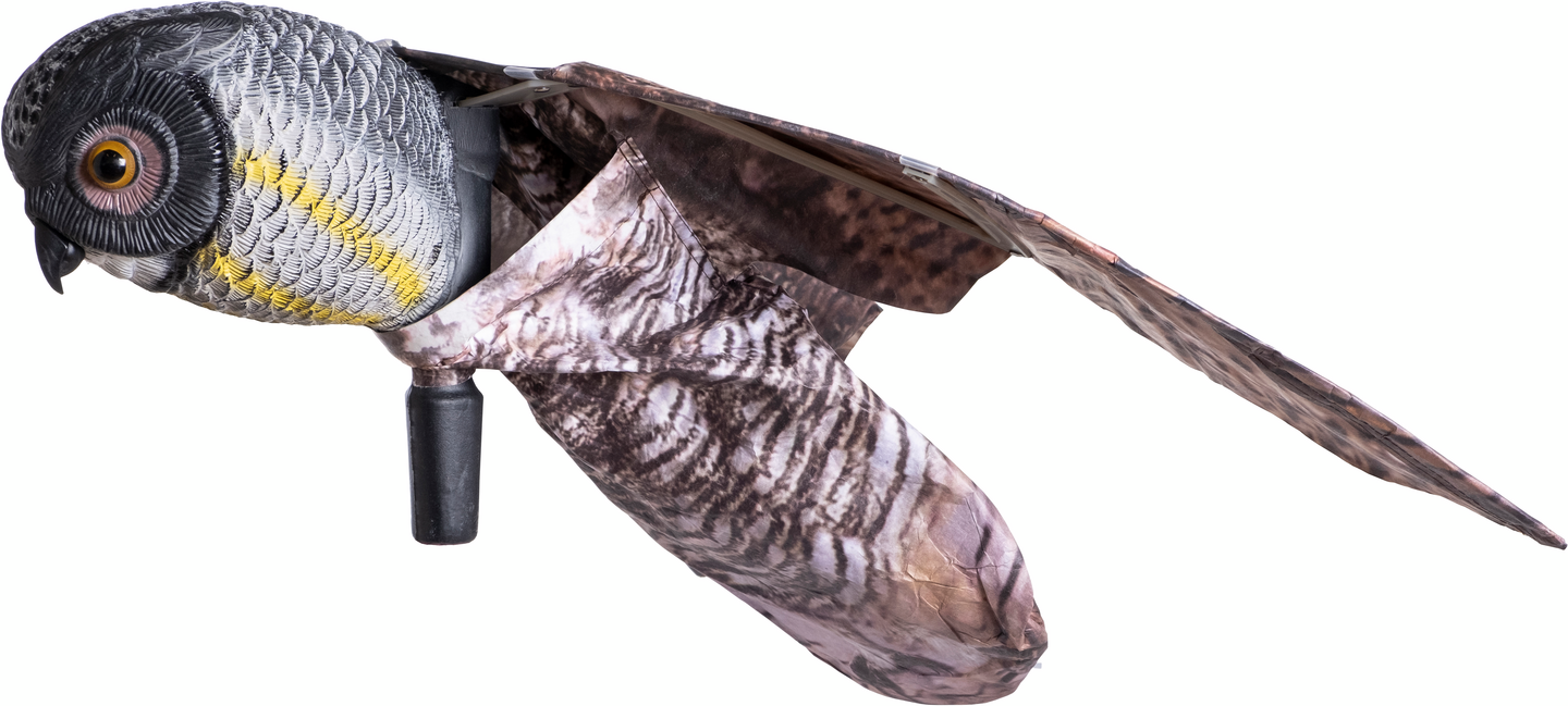 Linnunpelätin lentävä pöllö