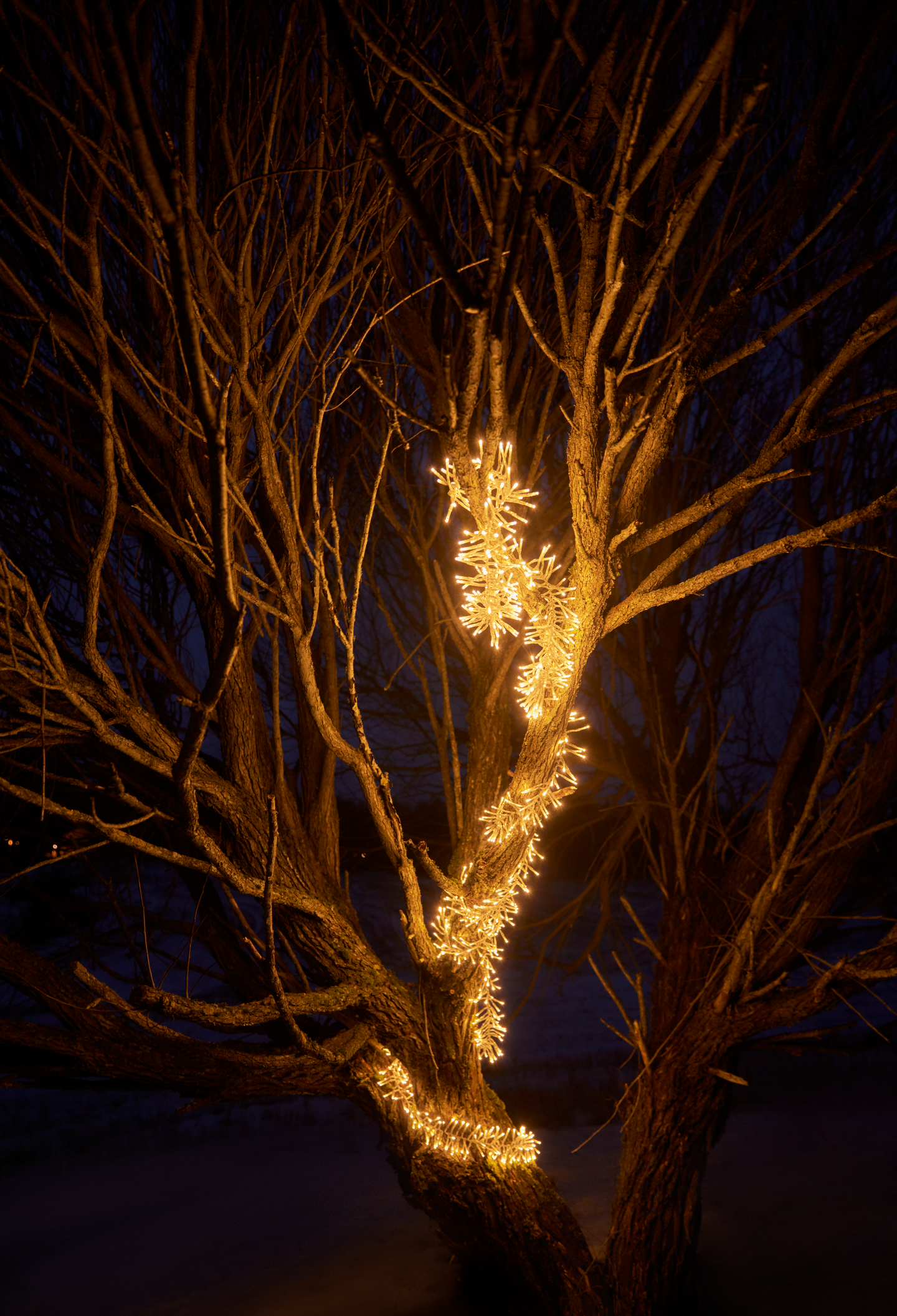 Valosarja Cello Cluster kirkas 900 lediä