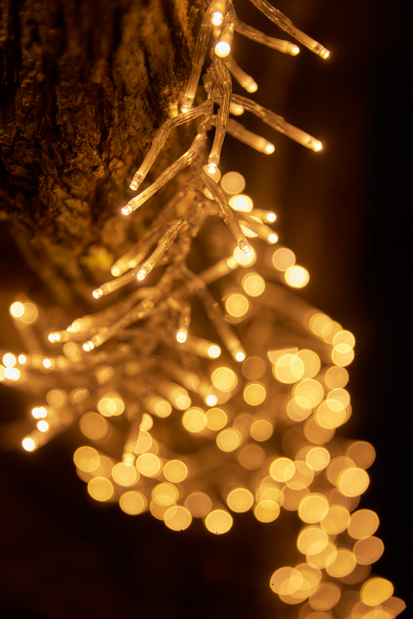 Valosarja Cello Cluster kirkas 900 lediä