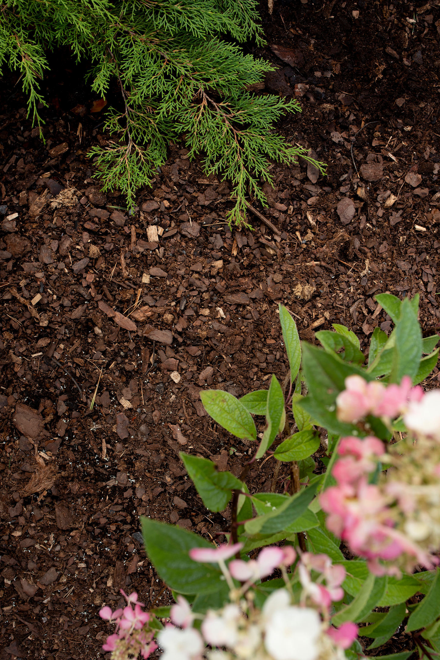 Istututuskate Kekkilä 45l