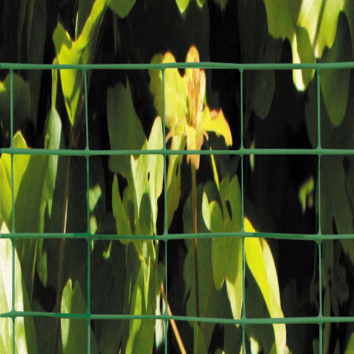 Verkko vihreä silmäkoko 19x19mm rulla 0,5x5m