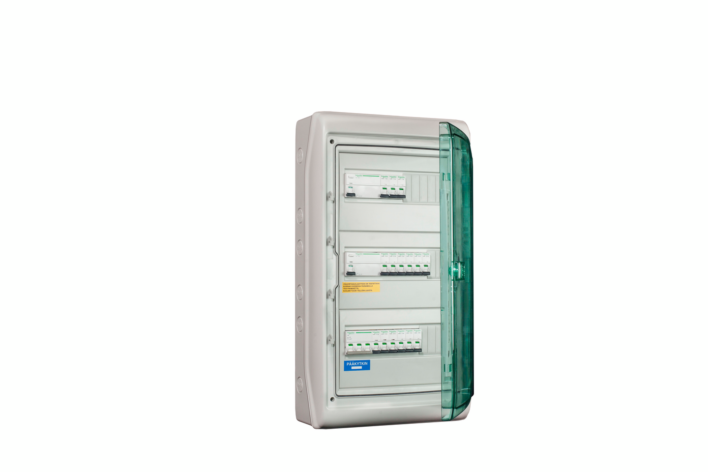 Ryhmäkeskus Schneider Electric ps SRK6P65312+FI 63A IP65