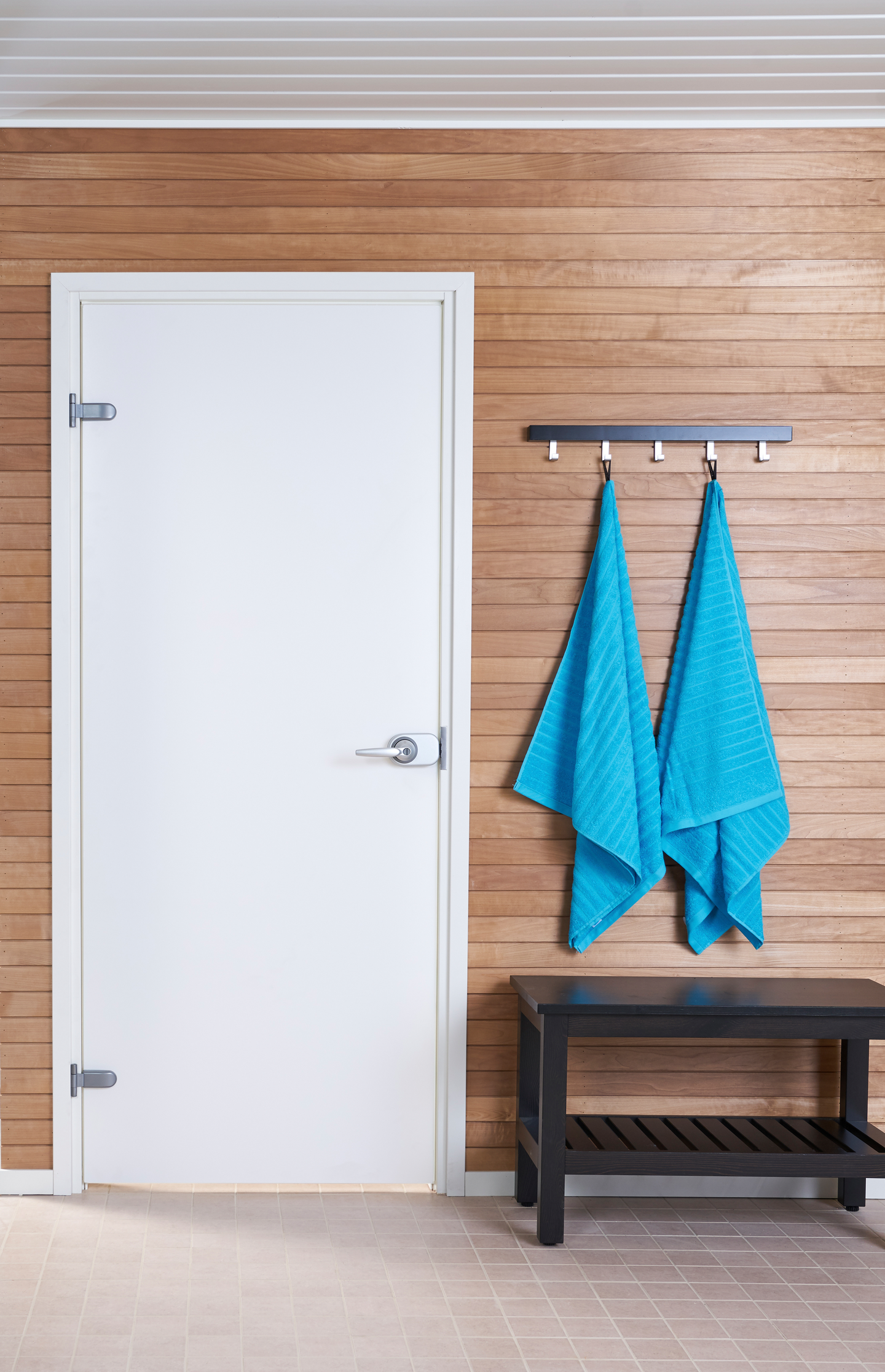 Lasiovi Swedoor Spa Lumi+ 9x21 valkoinen karmi lukittava