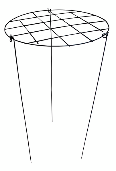 Kasvituki ristikolla 50cm