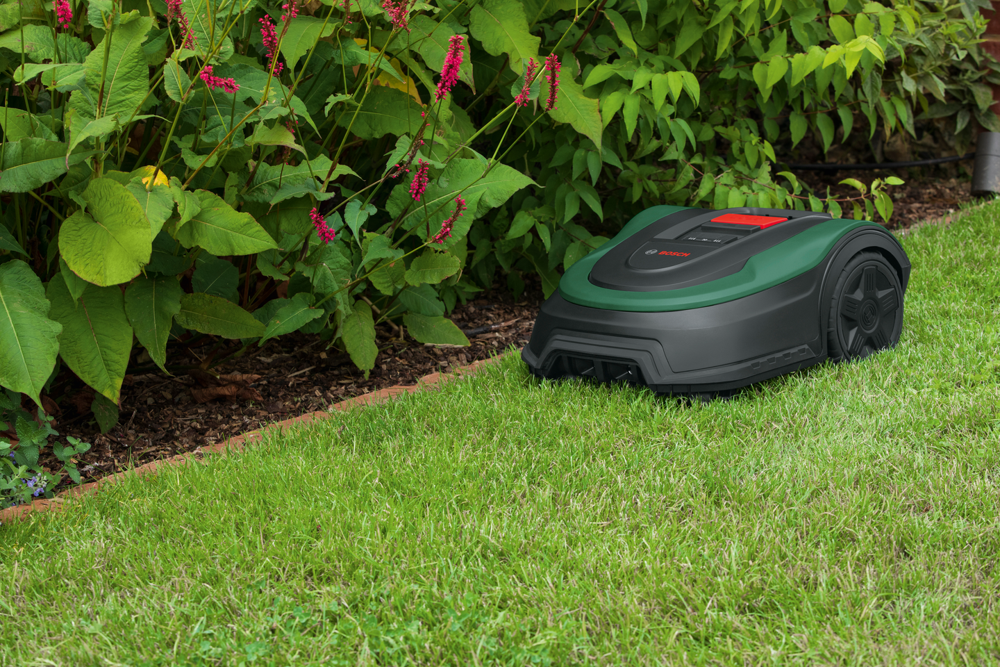 Robottiruohonleikkuri Bosch Indego XS 300