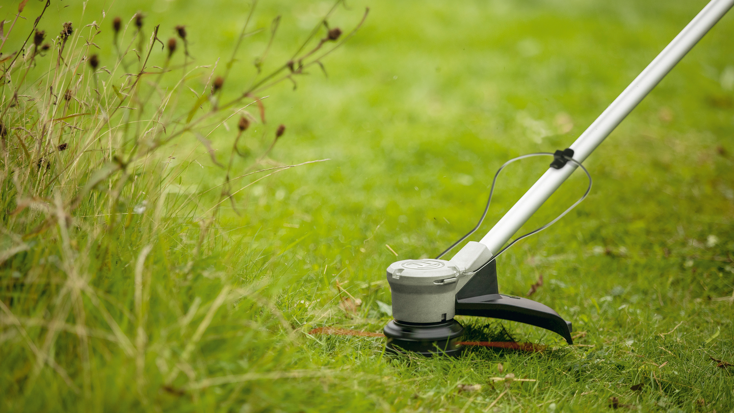 Akkutrimmeri Bosch AdvancedGrassCut 36V-33 Solo