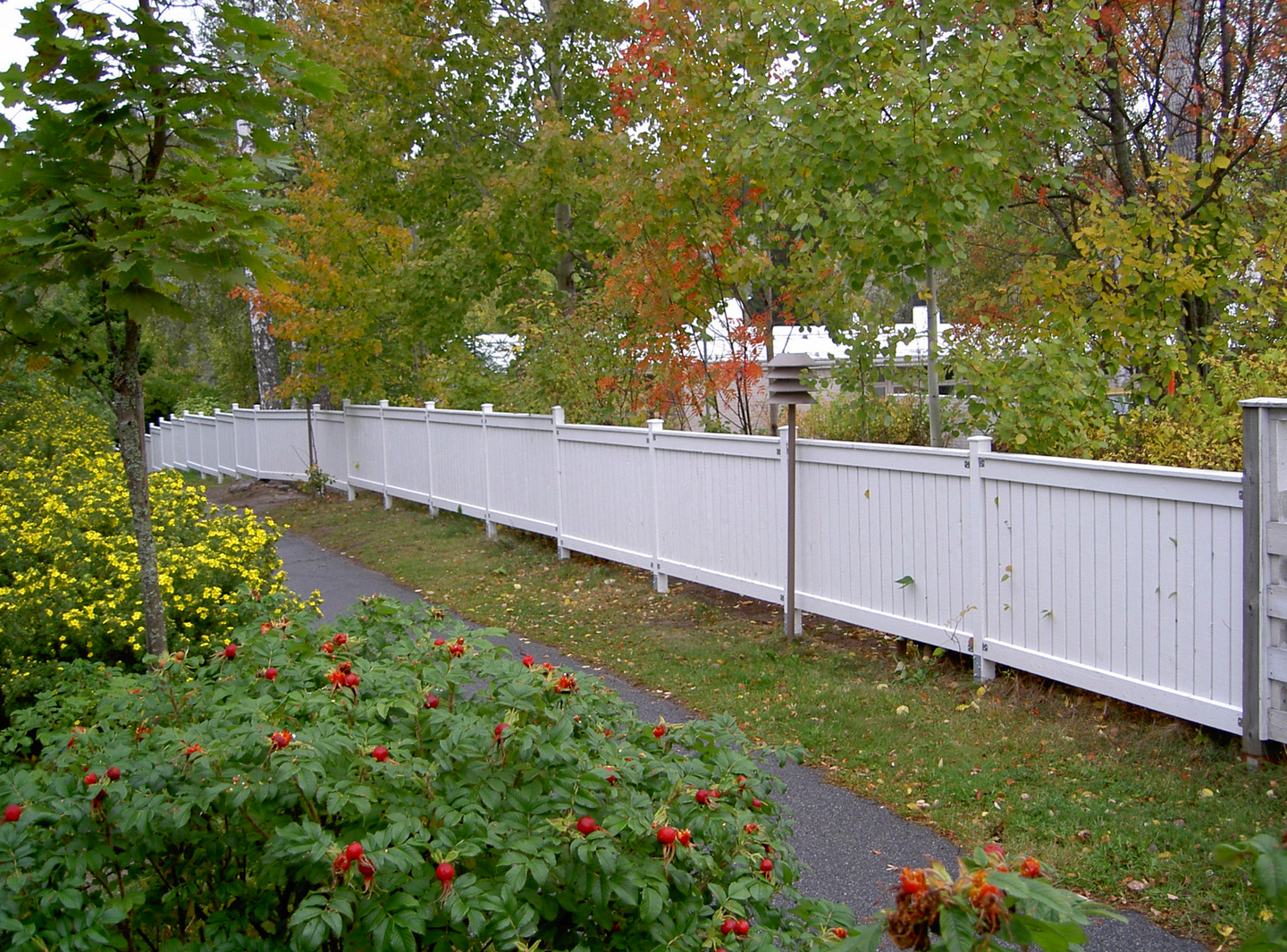 Aitalauta PROF 20x95x3000 valkoinen S-0502-Y 4kpl