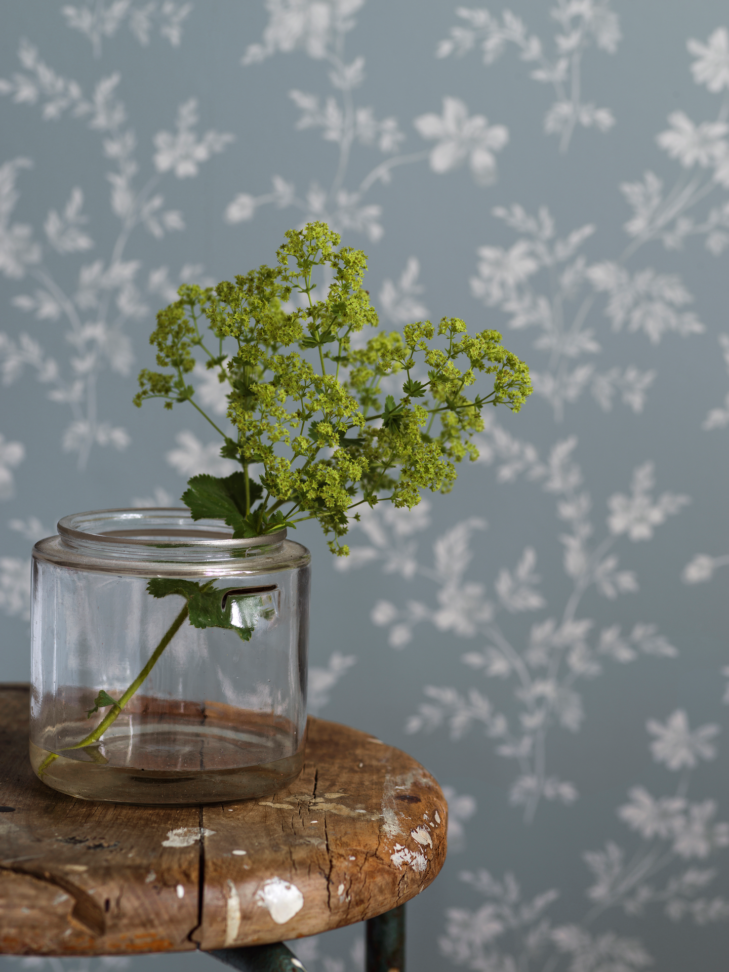 Tapetti Boråstapeter Timeless Traditions 3272 kuitu 10,05m