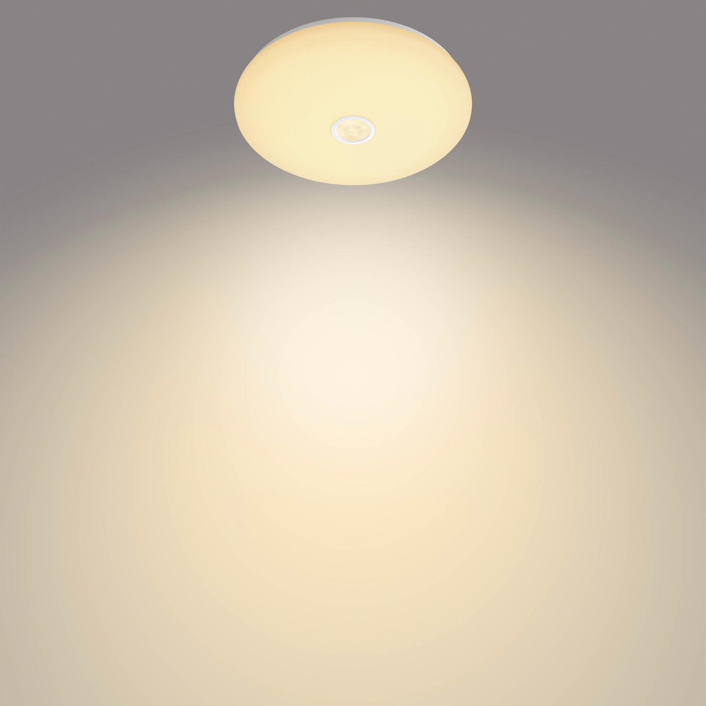 Kattovalaisin Philips Mauve liiketunnistimella 16W 2700K valkoinen