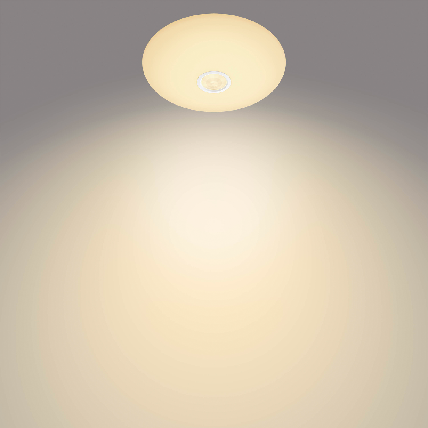 Kattovalaisin Philips Mauve liiketunnistimella 6W 2700K valkoinen