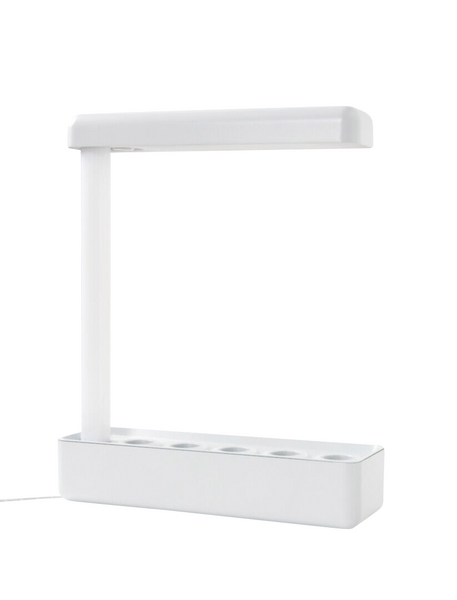 Kasvivalaisin Airam Herby 650lm 10W/840 valkoinen