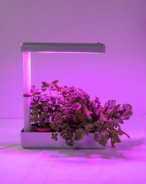 Kasvivalaisin Airam Herby 650lm 10W/840 valkoinen