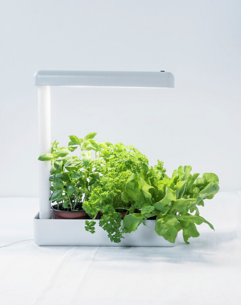 Kasvivalaisin Airam Herby 650lm 10W/840 valkoinen