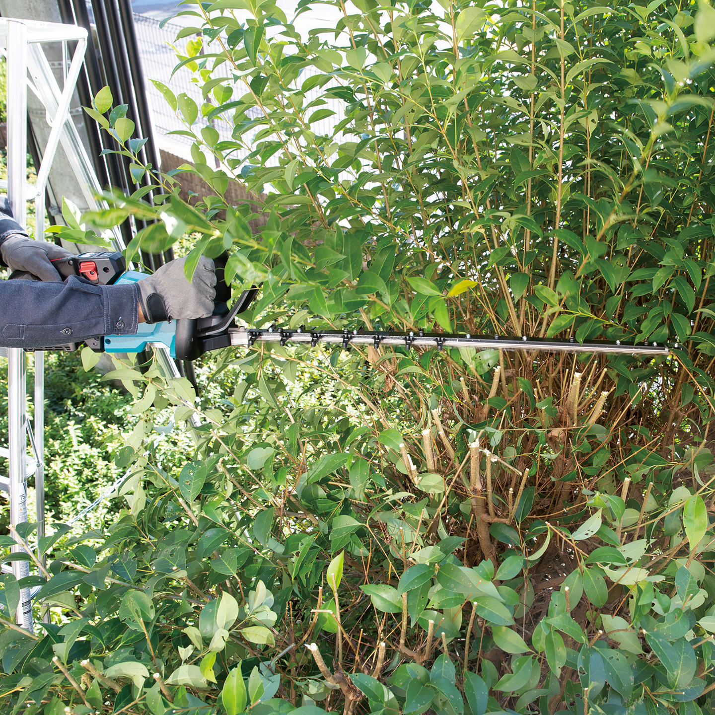 Pensasleikkuri Makita UH007GZ XGT 40V runko