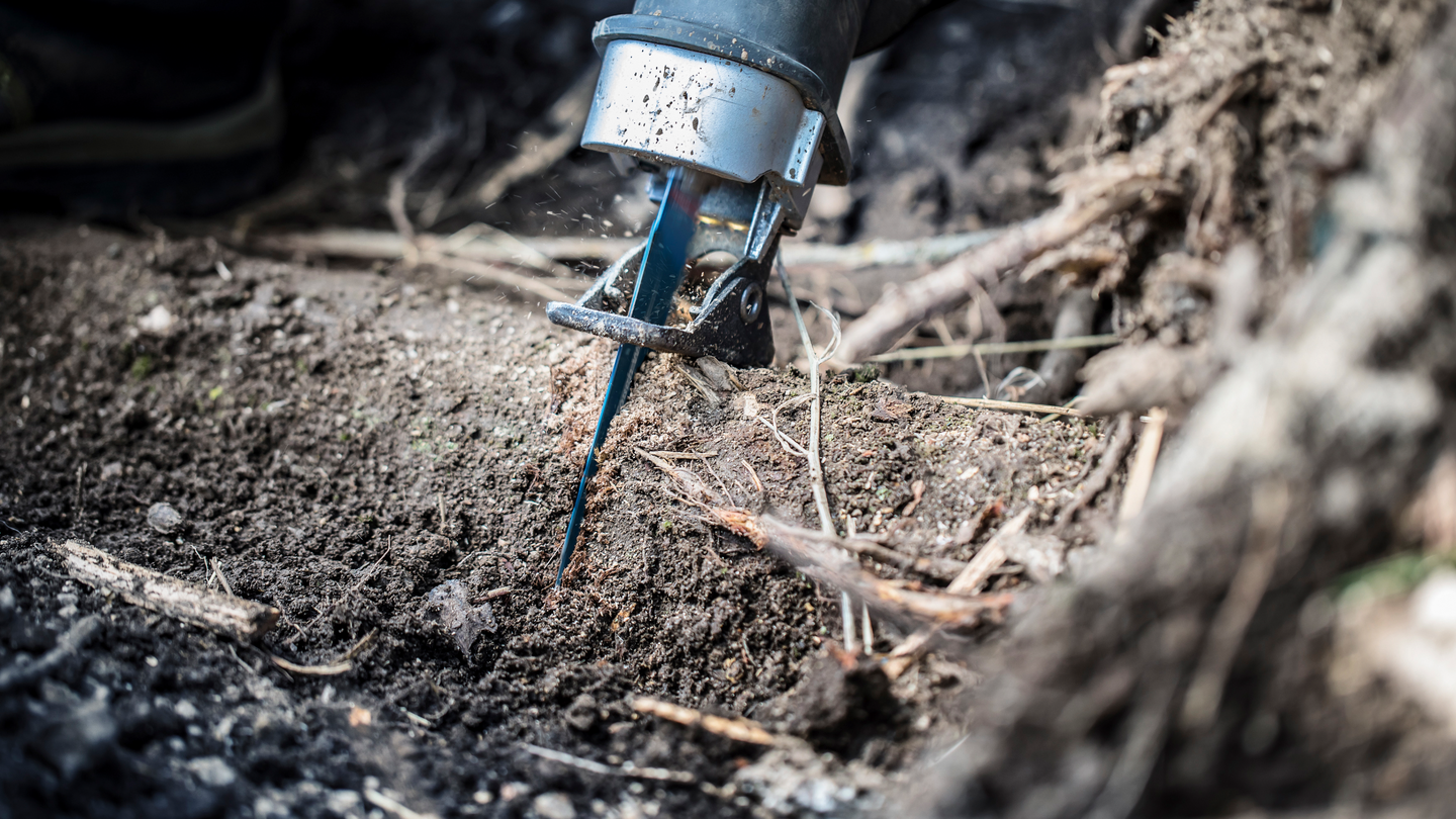 Puukkosahanterä Bosch Expert Though Wood S 1242 KHM