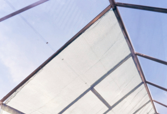 Varjostusverho Vitavia valkoinen 2,59x1,83m