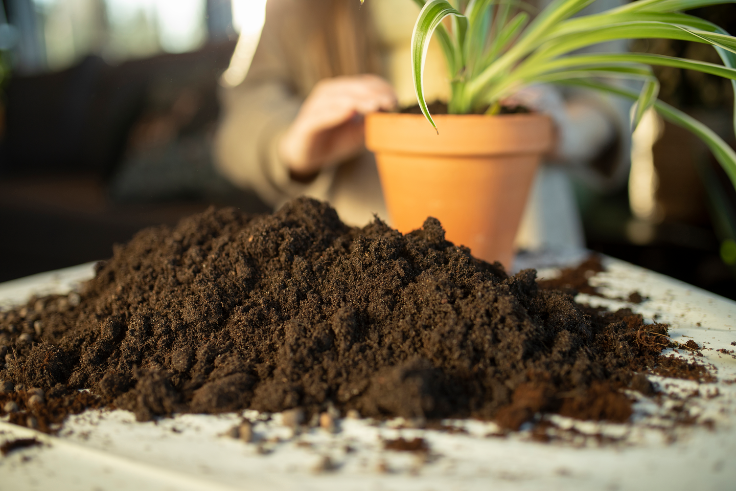 Viherkasvimulta Kekkilä 10l