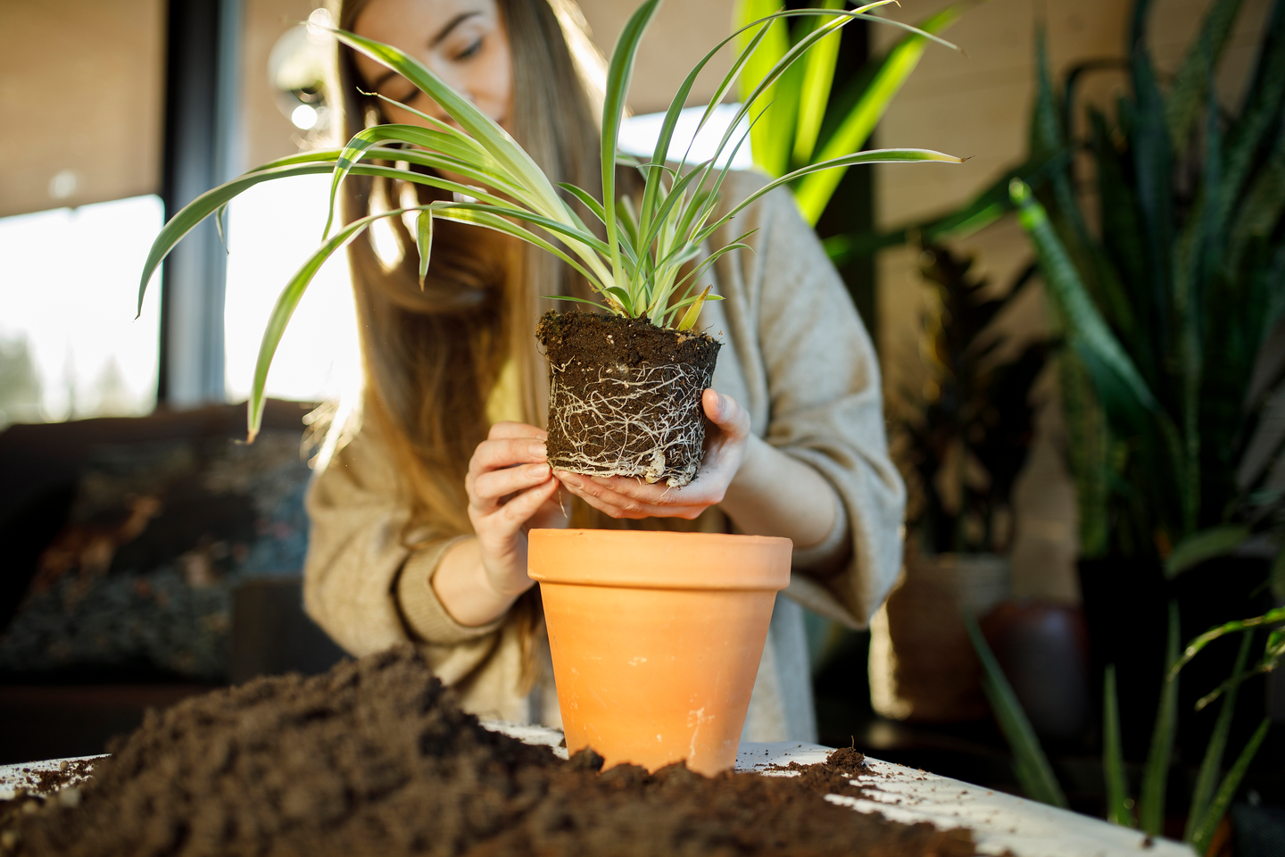 Viherkasvimulta Kekkilä 10l