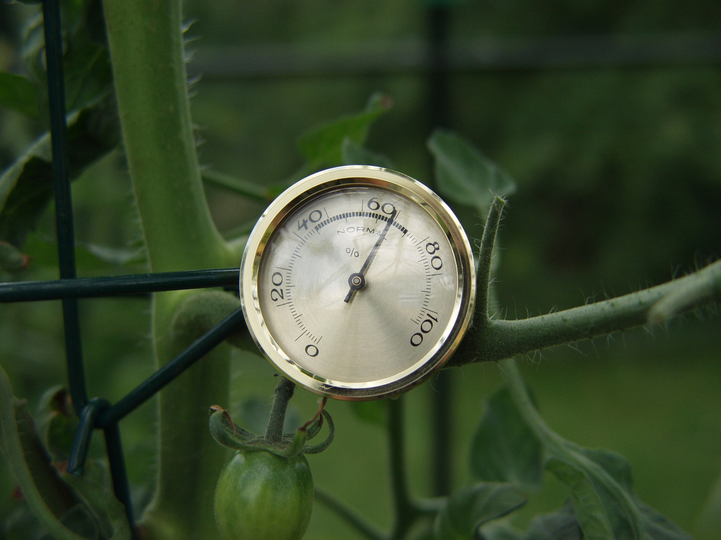 Ilmankosteusmittari Vitavia