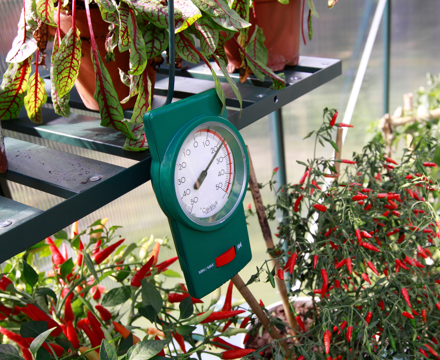 Lämpömittari Vitavia min/max