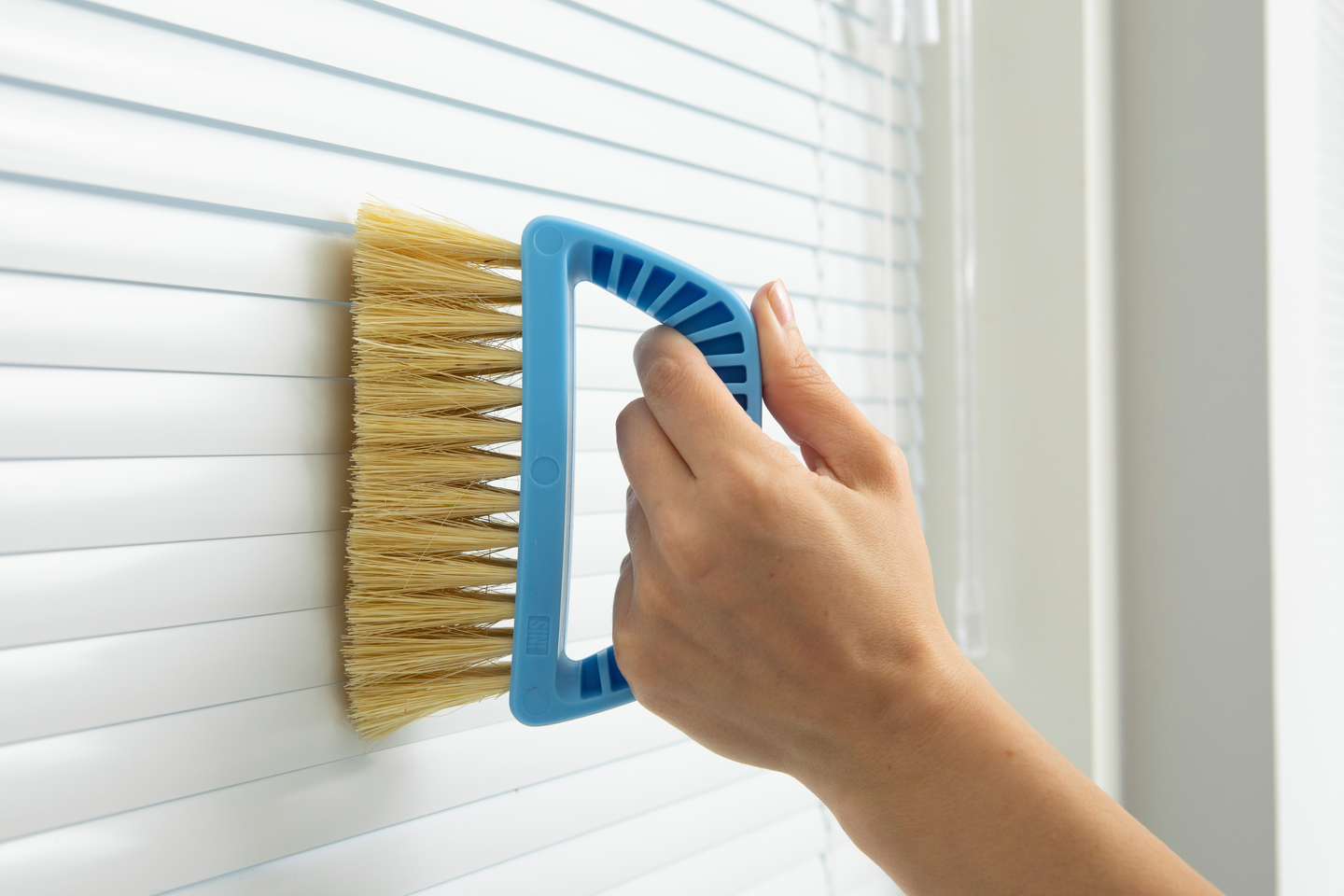 Sälekaihdinharja SINI