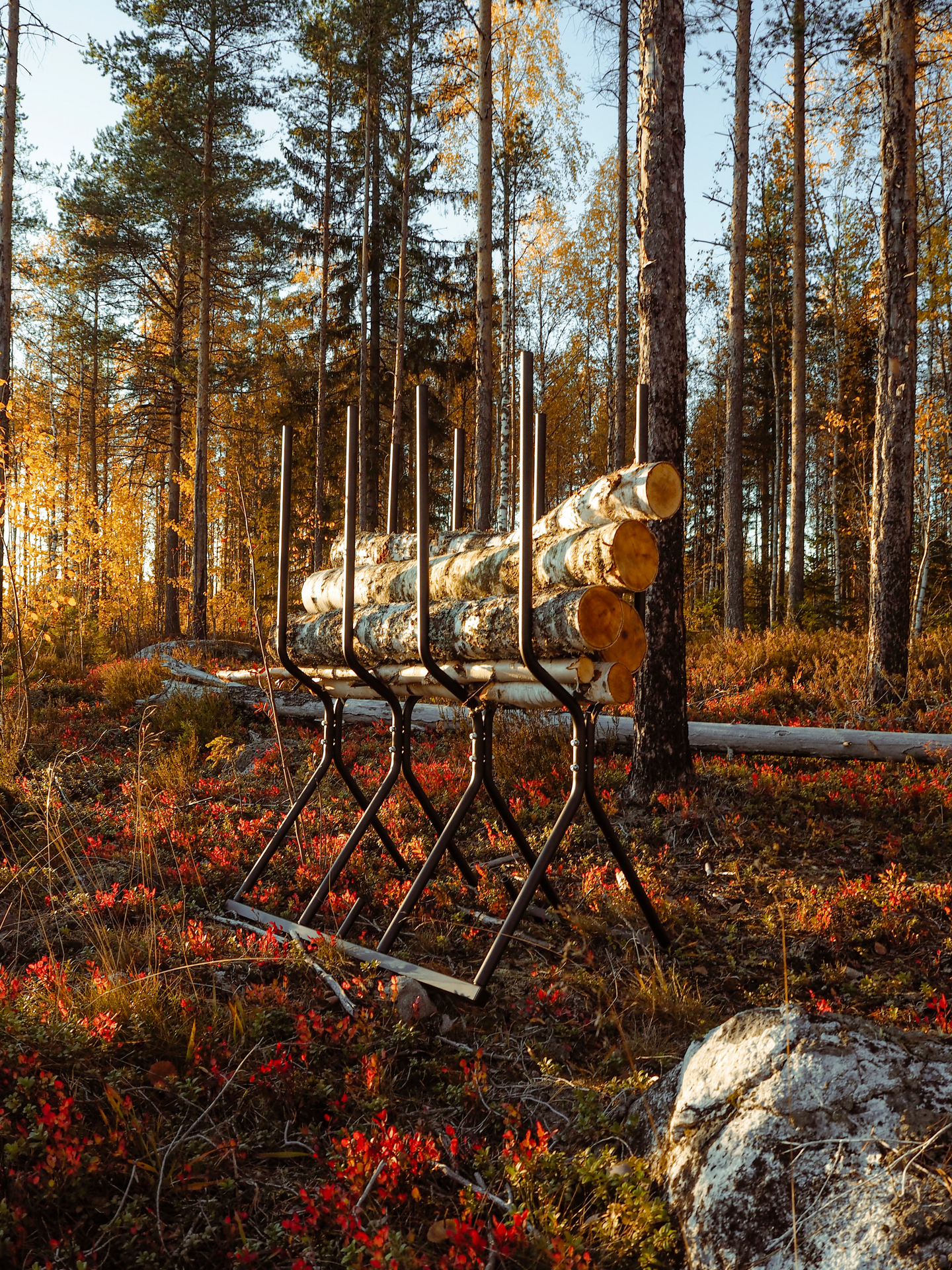 Sahapukki Varax musta