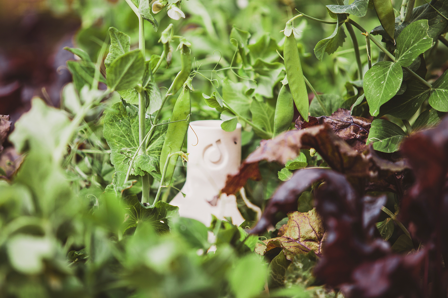 Altakasteluruukku Ost-Oya 0,5l