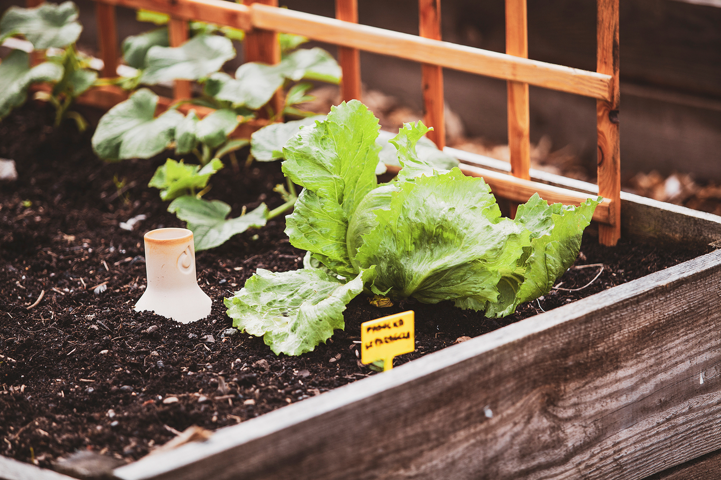 Altakasteluruukku Ost-Oya 0,5l