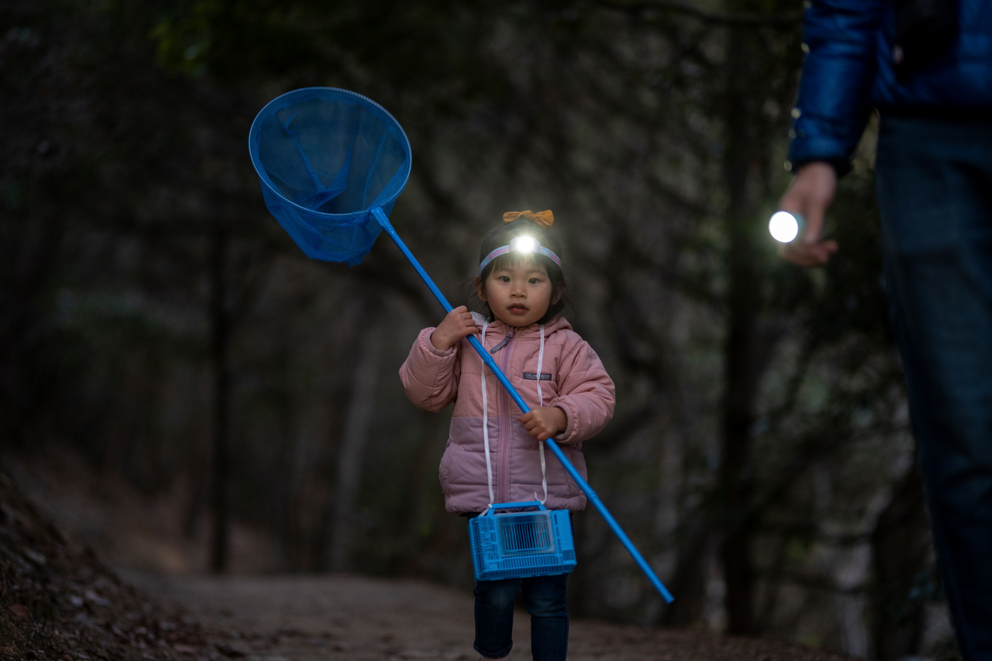 Otsalamppu Ledlenser Kidled2 violetti 40lm paristokäyttöinen