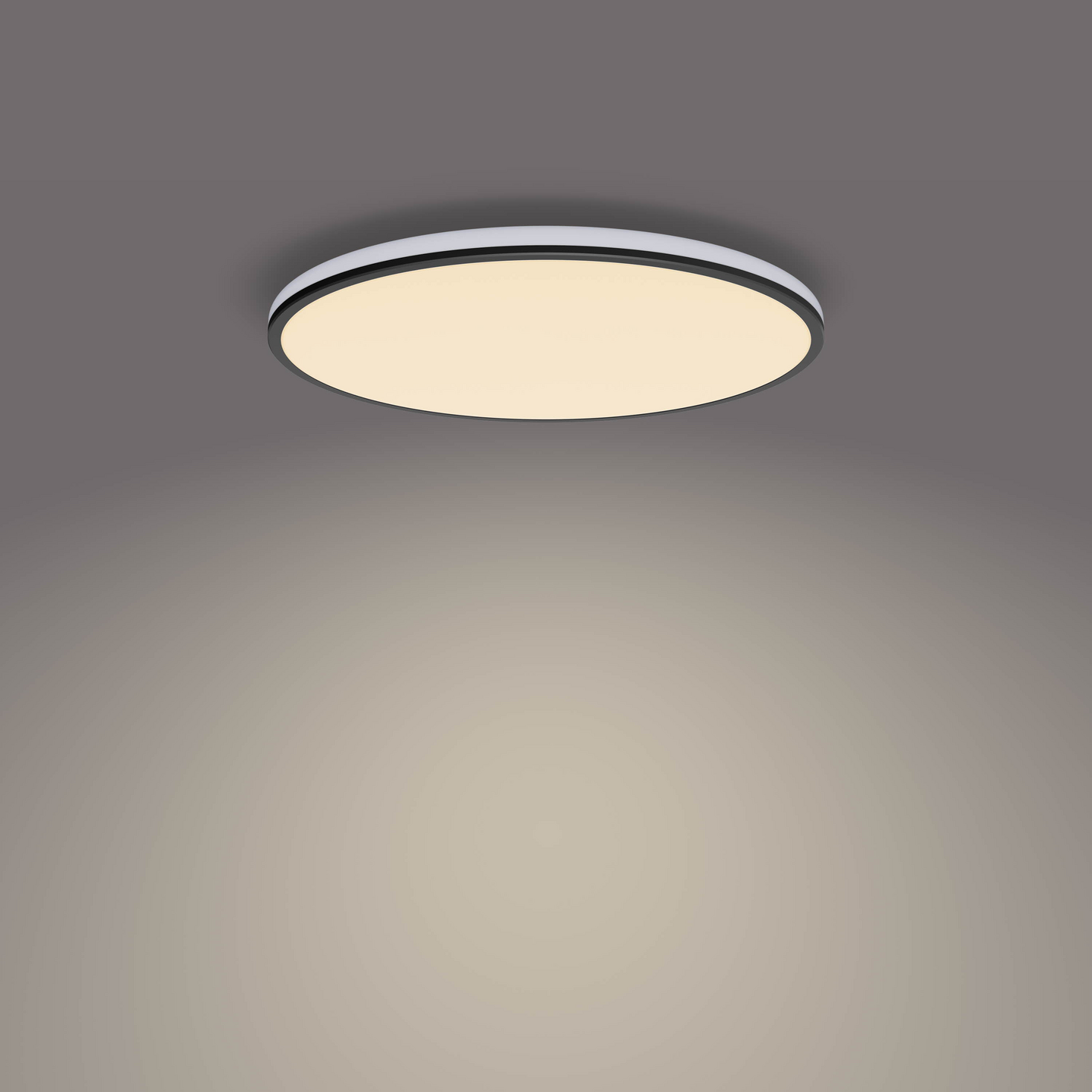 Kattovalaisin Philips Ozziet musta 22W 2700K