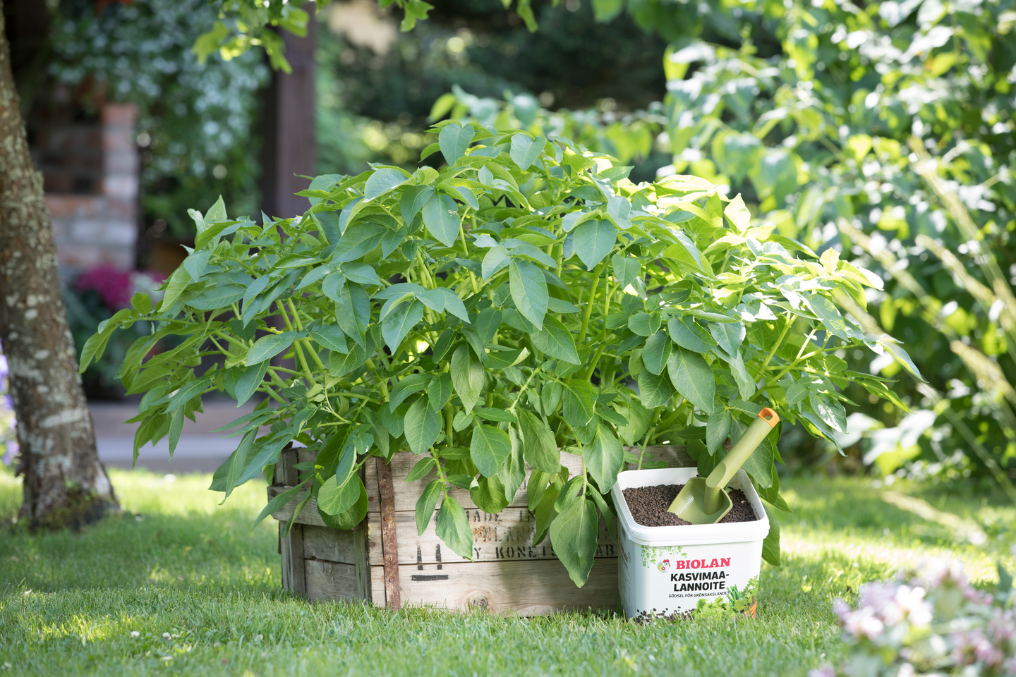 Kasvimaalannoite Biolan 5,5l pakki