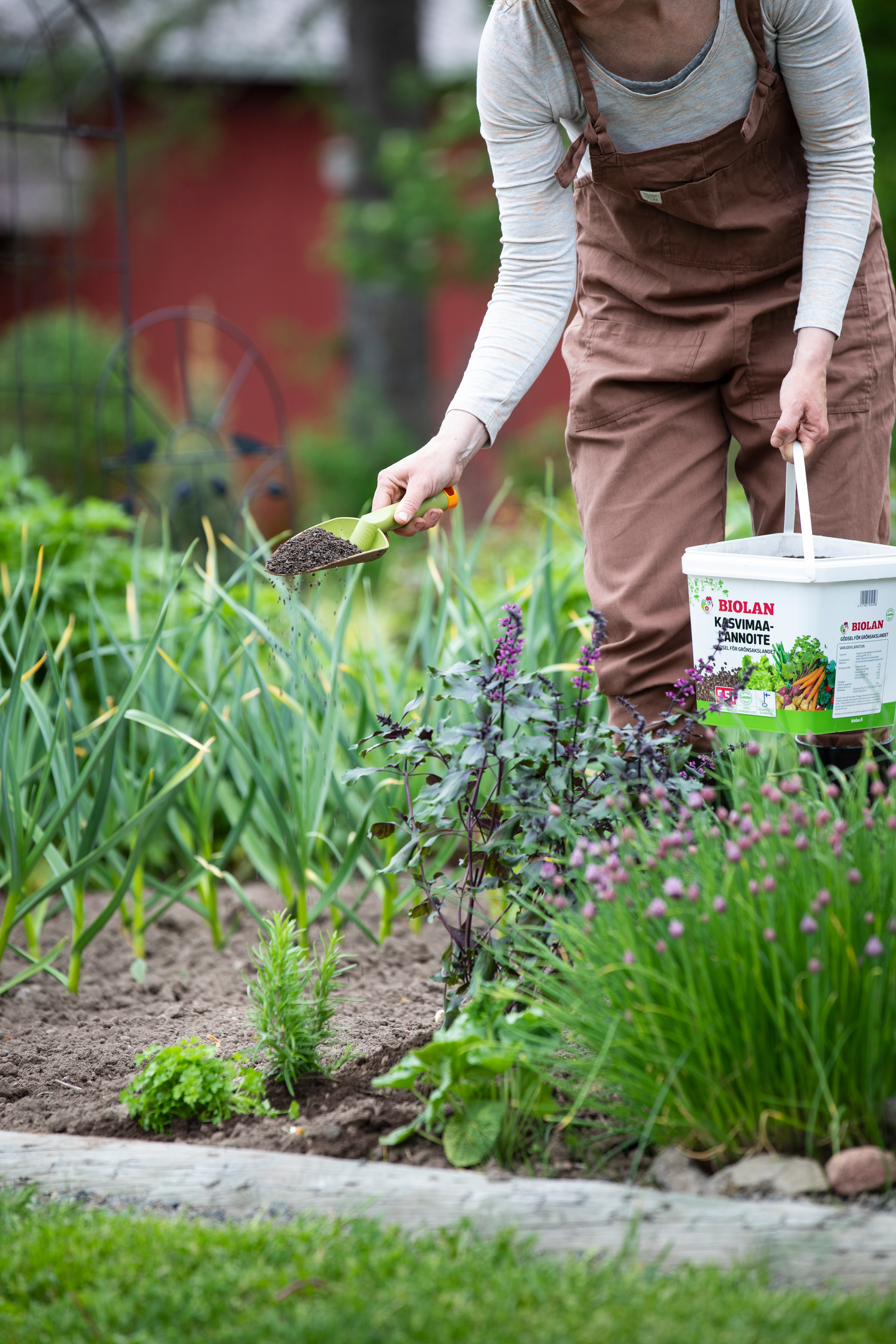 Kasvimaalannoite Biolan 5,5l pakki