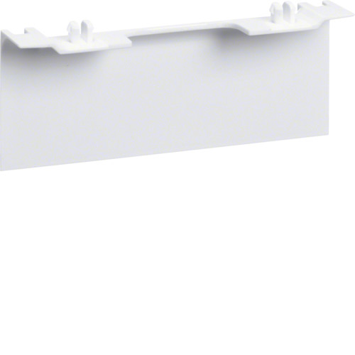 Peitelevy Hager Tehalit SL20115901 AC SL20x115 liikenteenvalkoinen