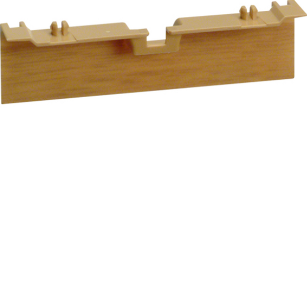 Peitelevy Hager Tehalit SL20x80 PC/ABS tammi