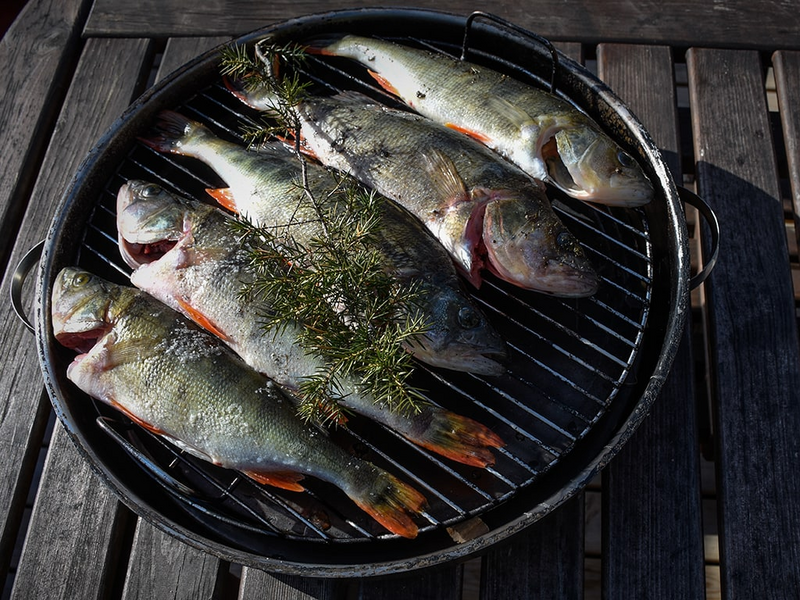 Savustusastia Muurikka 42cm