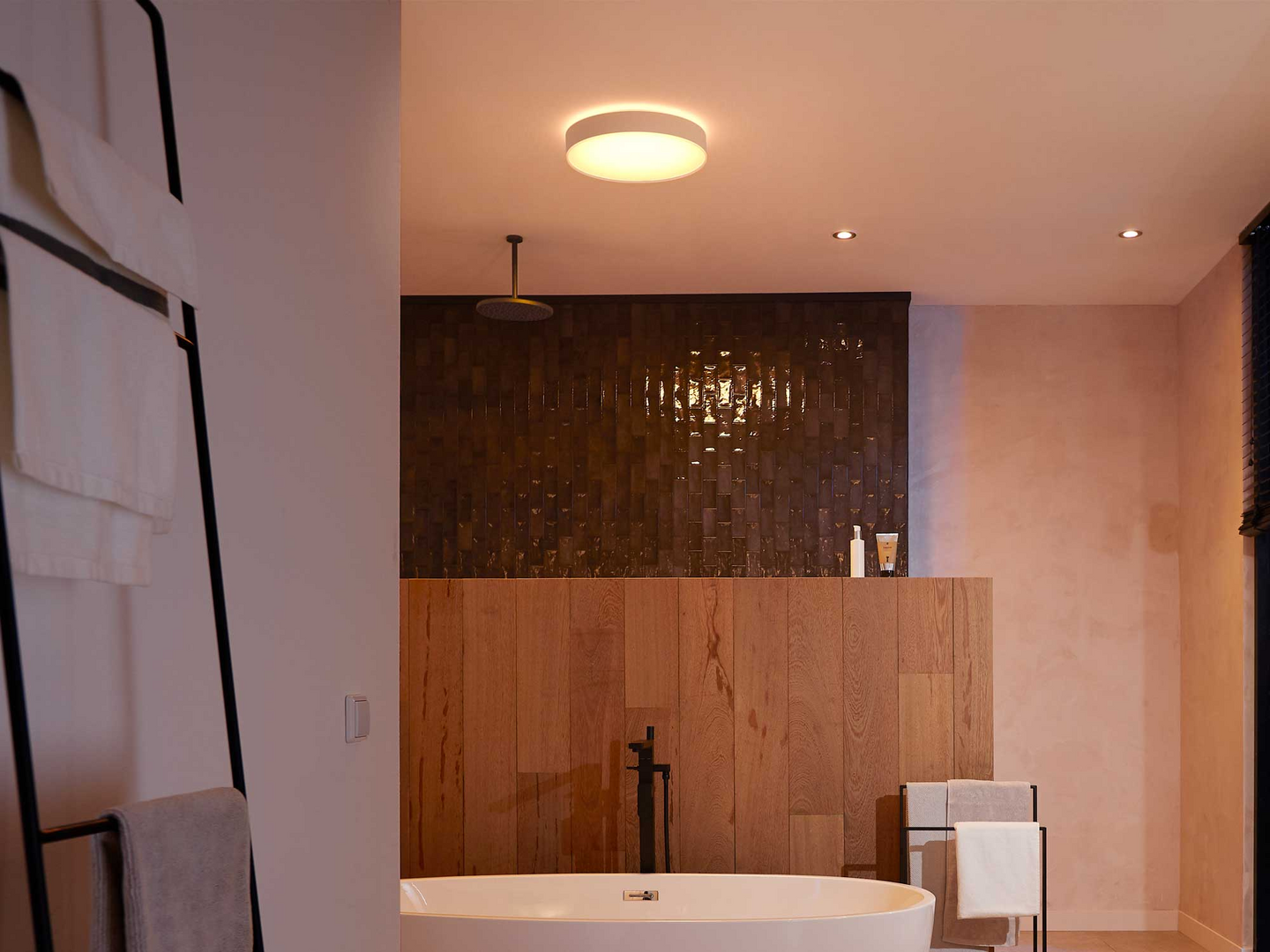 PHILIPS HUE BADRUMPLAF DEVERE L