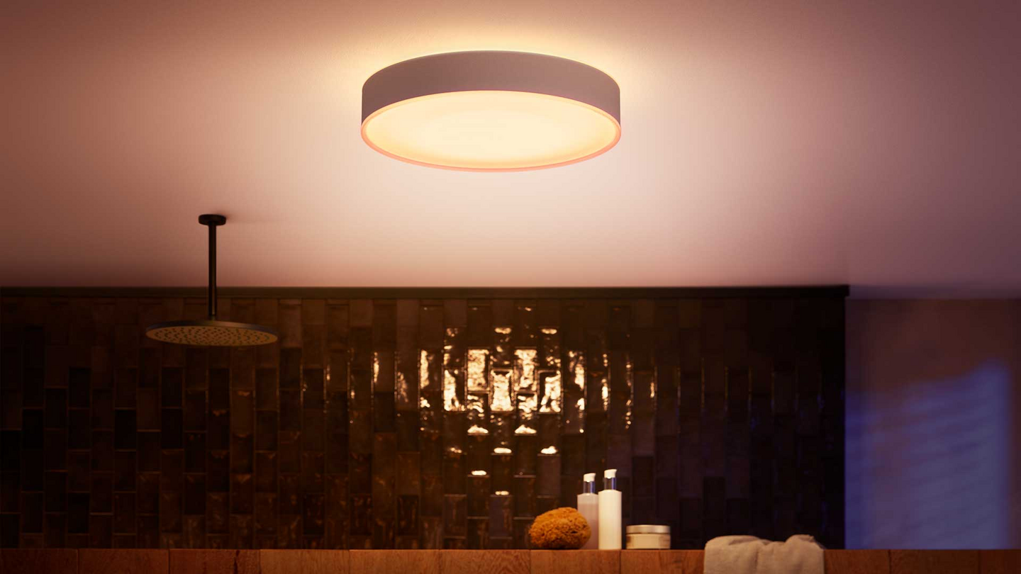 PHILIPS HUE BADRUMPLAF DEVERE L