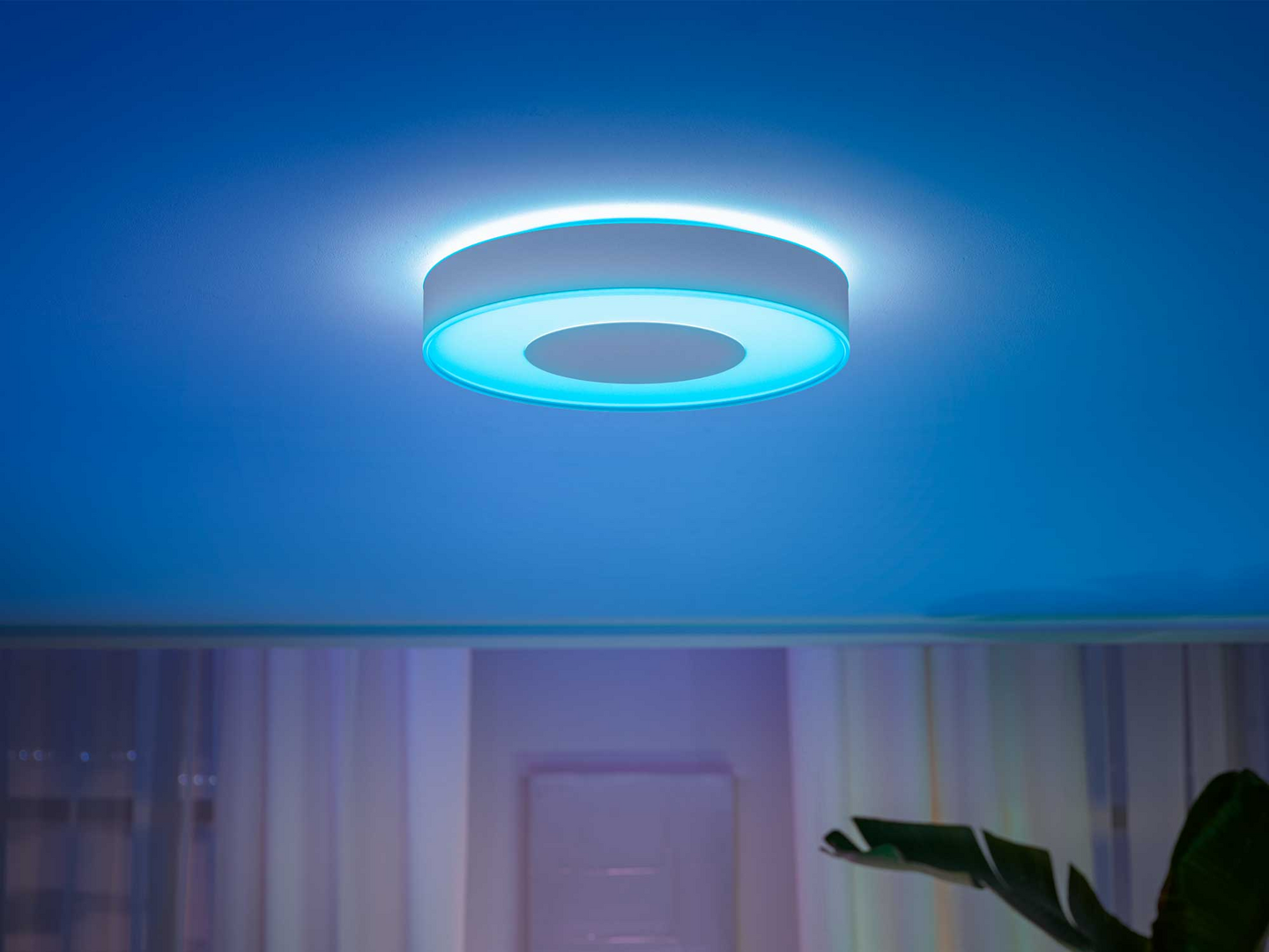 Kattovalaisin Philips Hue Infuse L valkoinen