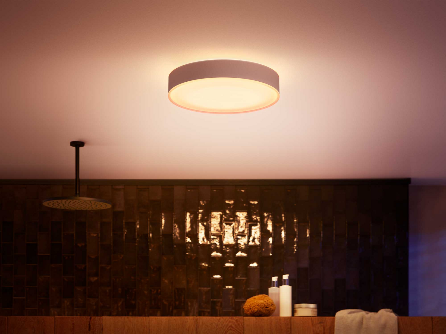 PHILIPS HUE BADRUMPLAF DEVERE M