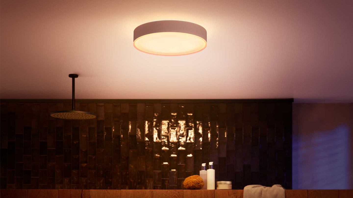 PHILIPS HUE BADRUMPLAF DEVERE M