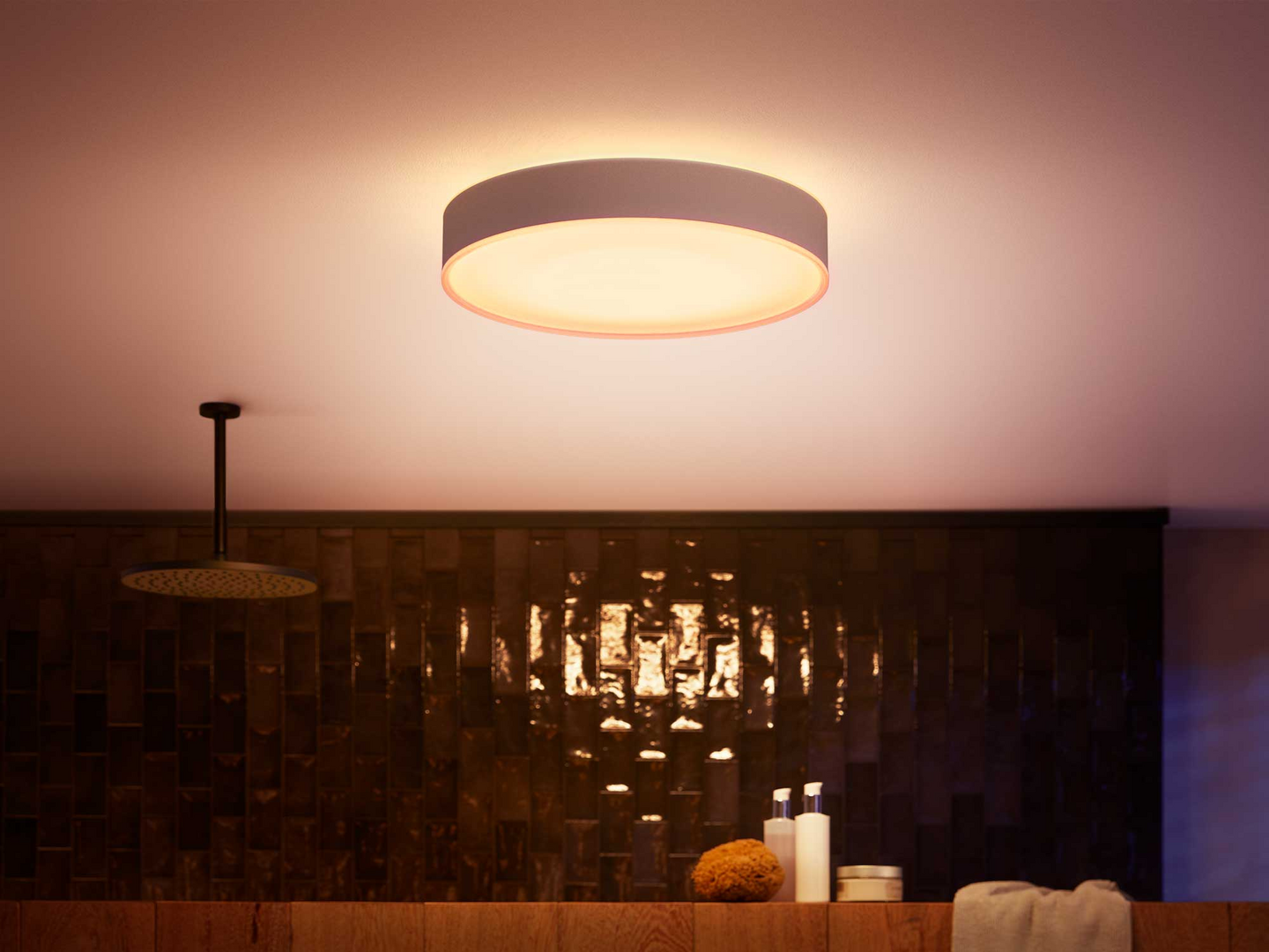 PHILIPS HUE BADRUMPLAF DEVERE L
