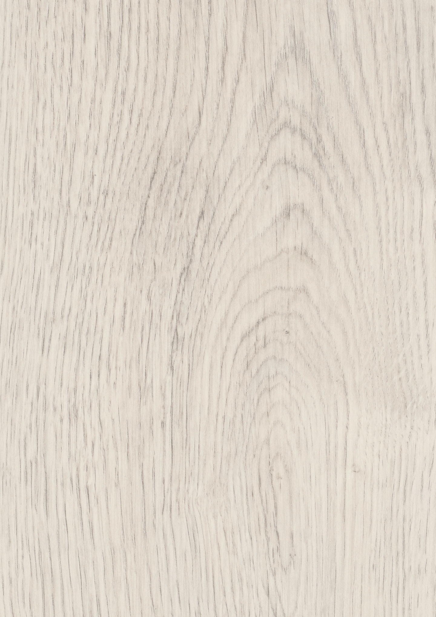 Laminaatti Cello 8mm KL32 Misty Sterling tammi 2,26m²