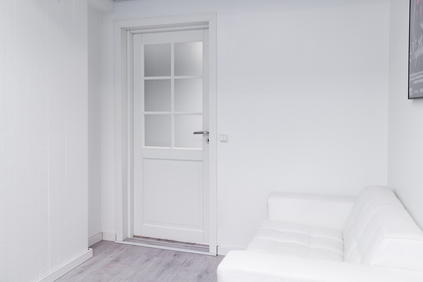 Sisäovi Swedoor Craft 102 massiivipeiliovi maalattu valk. kirk. lasi