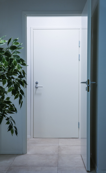 Palo-ovi Swedoor Fire 810 valkoinen karmi