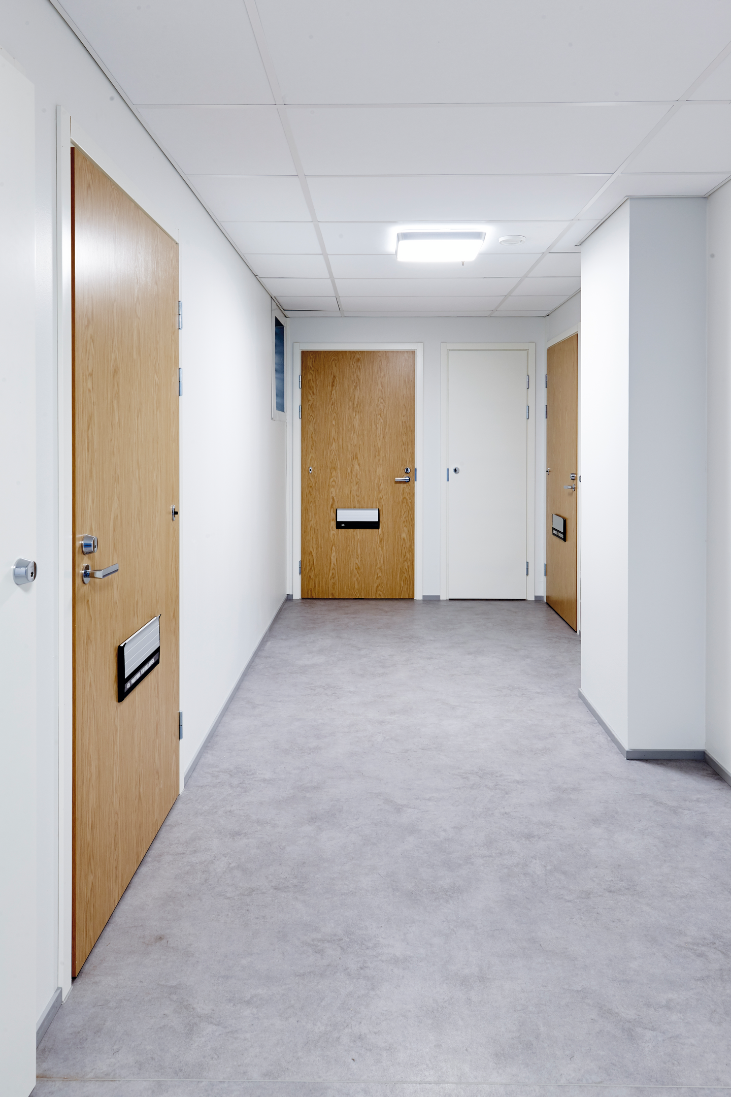 Palo-ovi Swedoor Fire 810 tammi pystyviilu kirjeluukku