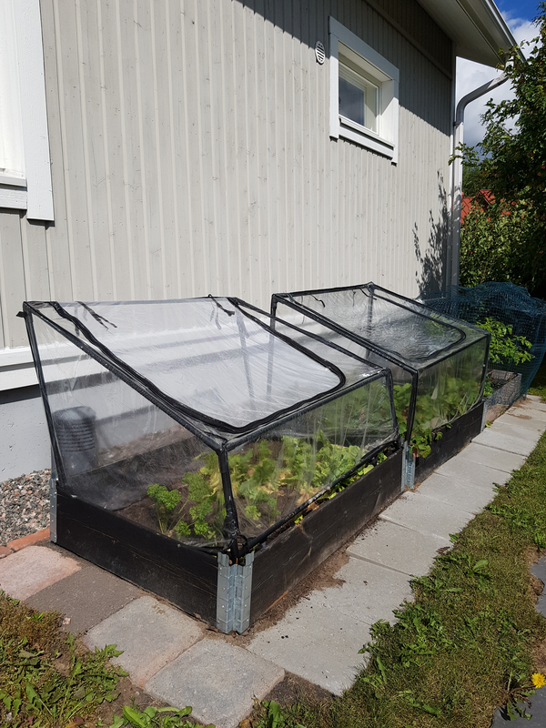 Minikasvihuone Goodiy 75 x 115 cm korkeus 40/70 cm